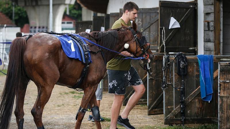 Jokić o saznanju da će biti starter na Ol-staru: "Bio sam na hipodromu pa nisam ni obratio pažnju"