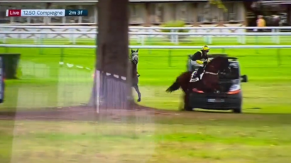 (VIDEO) Tokom konjičke trke kombi udario konja