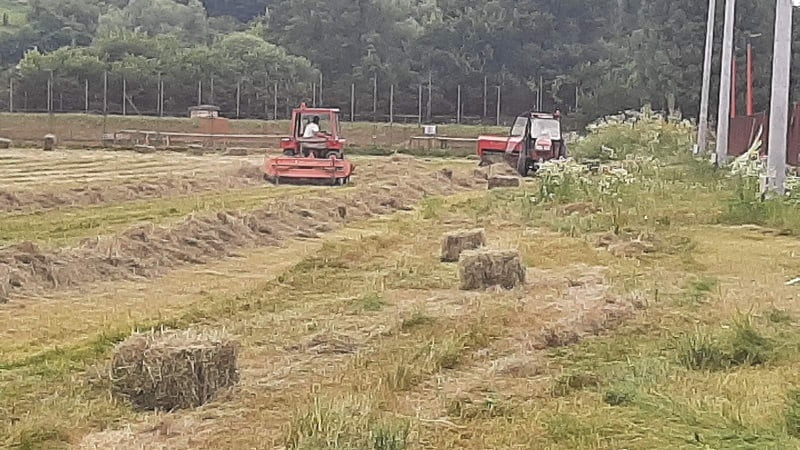 (FOTO) Bale sijena na stadionu najstarijeg kluba u BiH: Ko je dozvolio ovu sramotu?