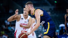 Musa se nije javio novom selektoru BiH: Frustracija od svega ga je pomalo udaljila