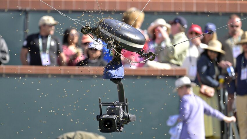 (VIDEO) Meč Alkaraza i Zvereva prekinut zbog invazije pčela