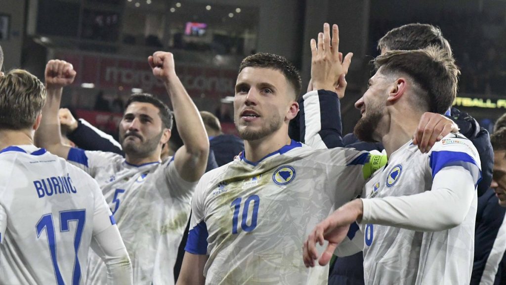 reprezentacija bih ermedin demirović