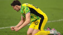 Italijani nemaju dilemu, otkriveno čiji će dres Muharemović zadužiti na ljeto